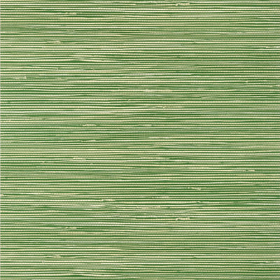 St. Thomas Emerald - Emerald Natural Wallcovering | Thibaut