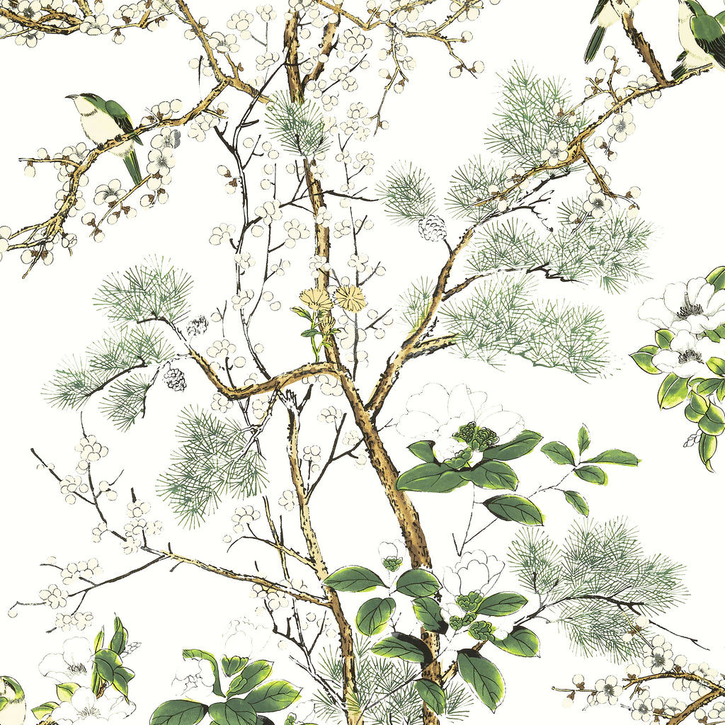 Katsura Green and White - Green and White Wallcovering | Thibaut