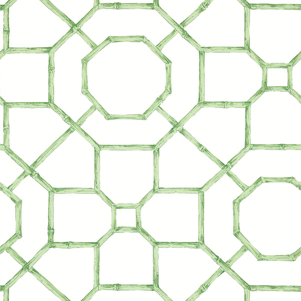Arbor Green - Green Wallcovering | Thibaut
