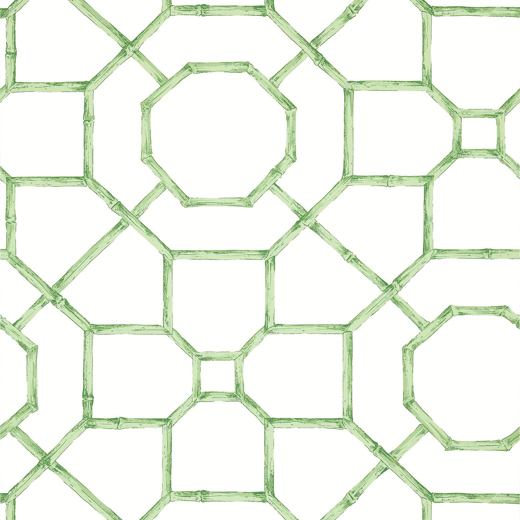 Arbor Green - Green Wallcovering | Thibaut