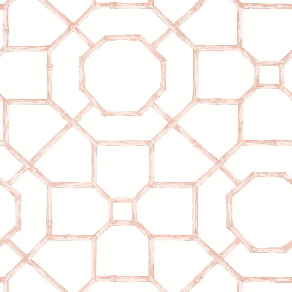 Arbor Blush - Blush Wallcovering | Thibaut