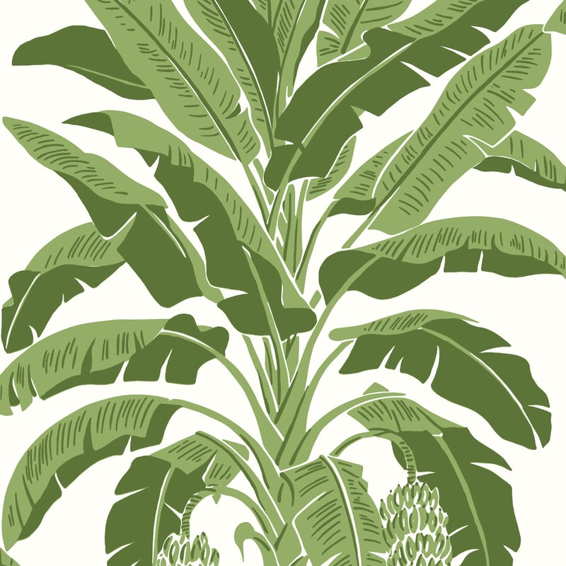 Banana Tree, Green