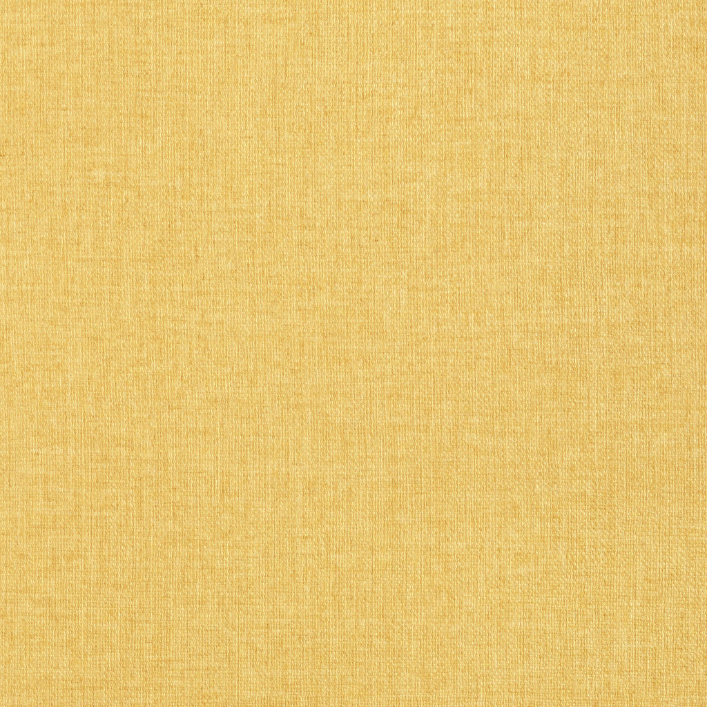 Flanders Harvest Gold | Thibaut