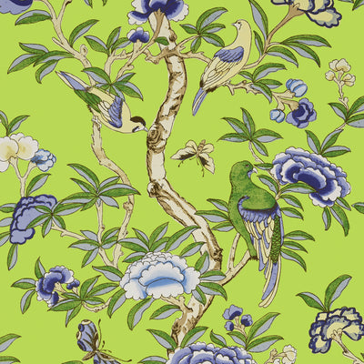 Wallcoverings Green | Thibaut