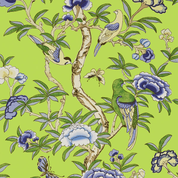 Wallcoverings Green | Thibaut