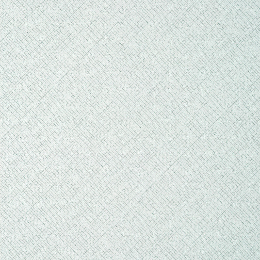 Jackson Weave, Pale Turquoise