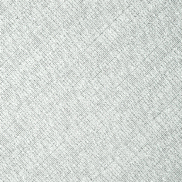 Jackson Weave, Pale Blue Wallcoverings | Thibaut
