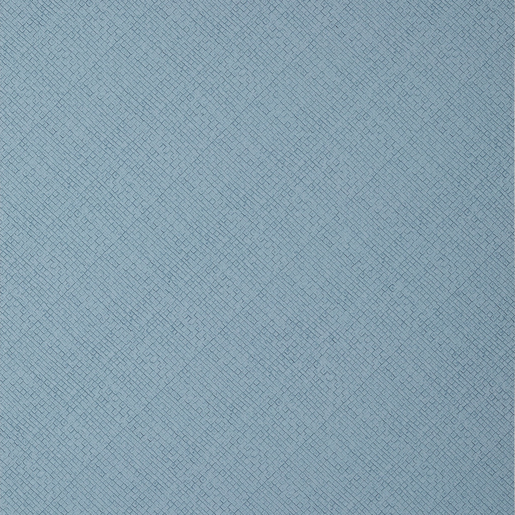 Jackson Weave, Light Blue
