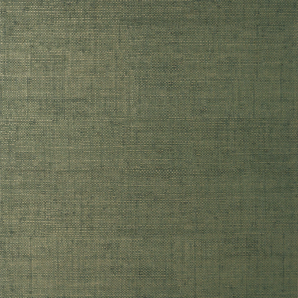 Bankun Raffia, Forest Wallcoverings | Thibaut