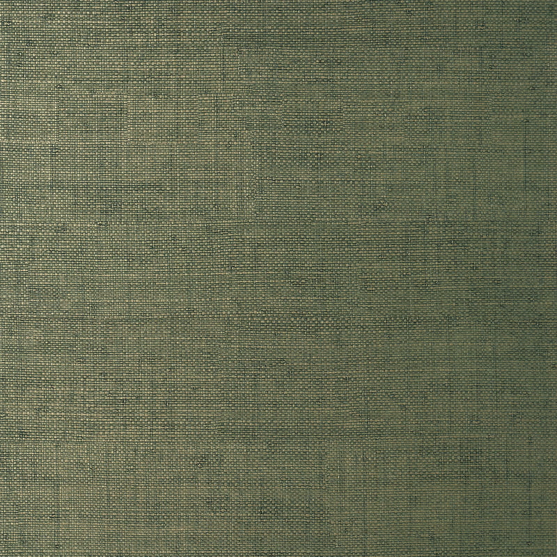 Bankun Raffia, Forest