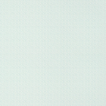 Rimba, Robin's Egg Wallcoverings | Thibaut