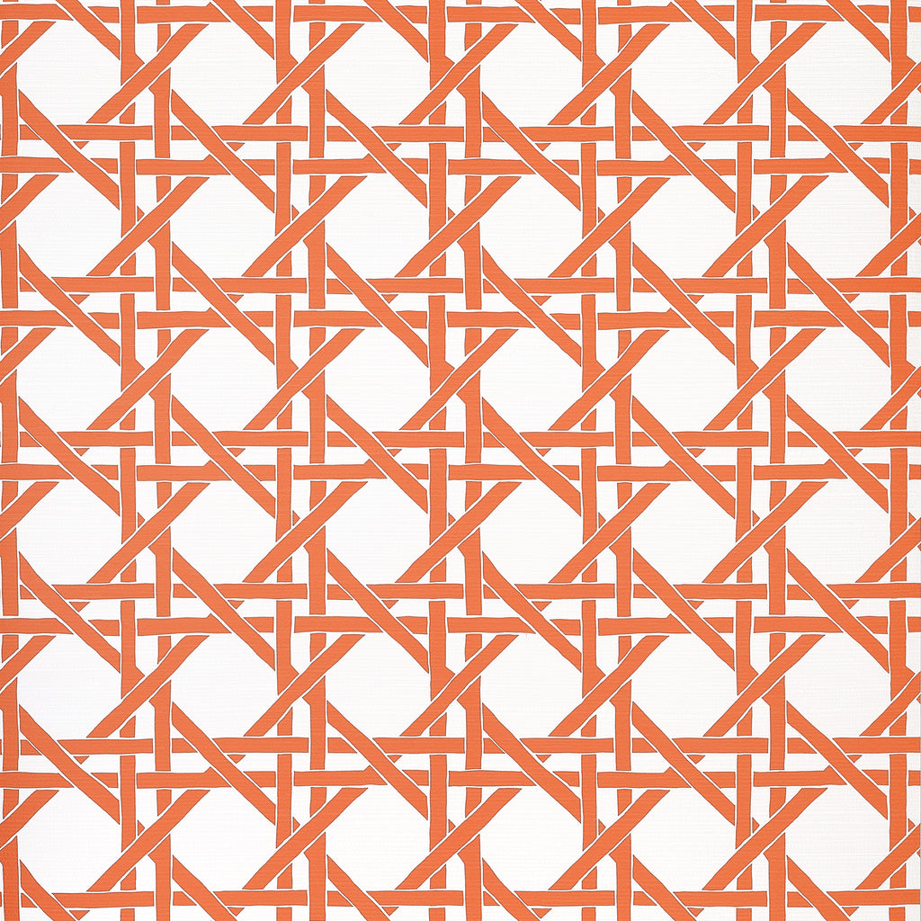Canary Trellis Coral - Coral Wallcovering | Thibaut