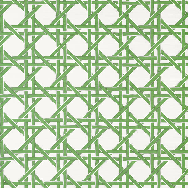 Canary Trellis Green - Green Wallcovering | Thibaut