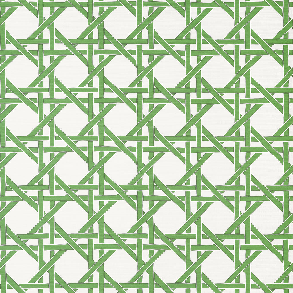 Canary Trellis Green - Green Wallcovering | Thibaut