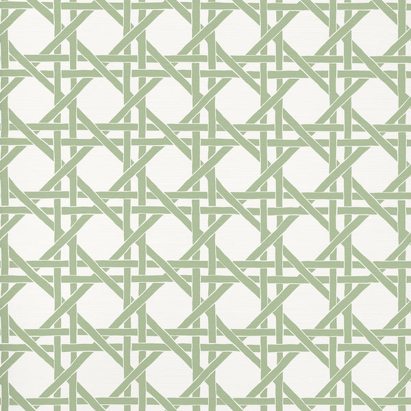 Canary Trellis Willow - Willow Wallcovering | Thibaut