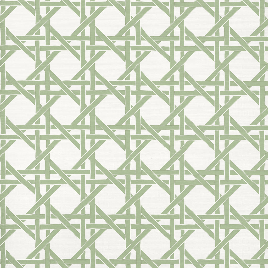 Canary Trellis Willow - Willow Wallcovering | Thibaut
