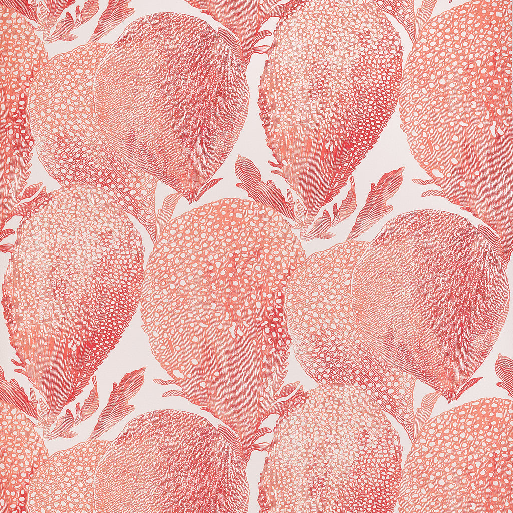 Under the Sea Coral - Coral Wallcovering | Thibaut