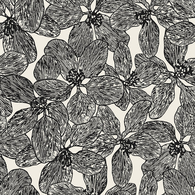 Island Orchid Black and White - Black and White Wallcovering | Thibaut