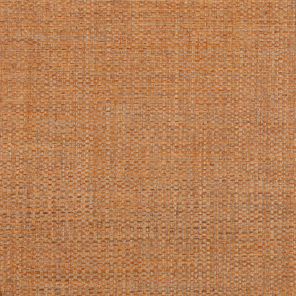 Lauderdale Pumpkin - Pumpkin Wallcovering | Thibaut