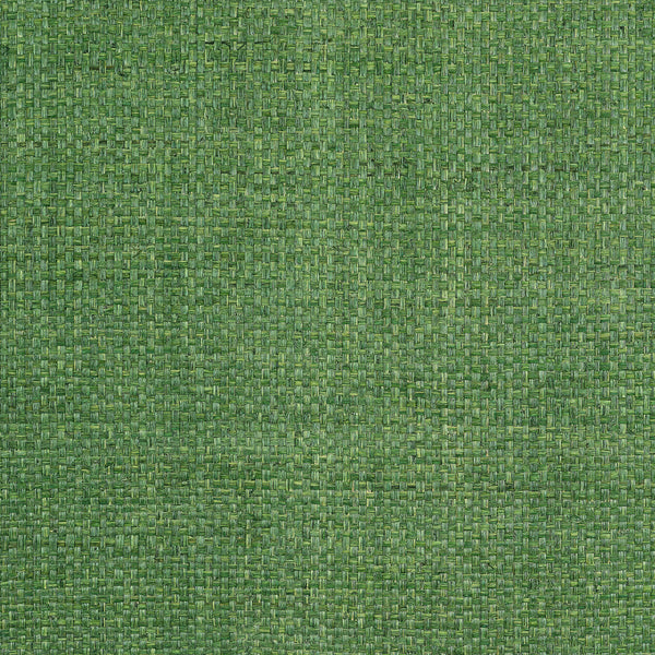 Lauderdale Green - Green Wallcovering | Thibaut