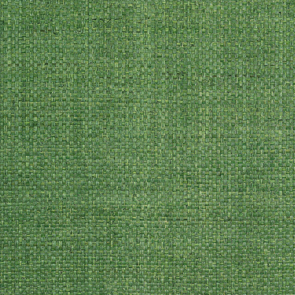 Lauderdale Green - Green Wallcovering | Thibaut