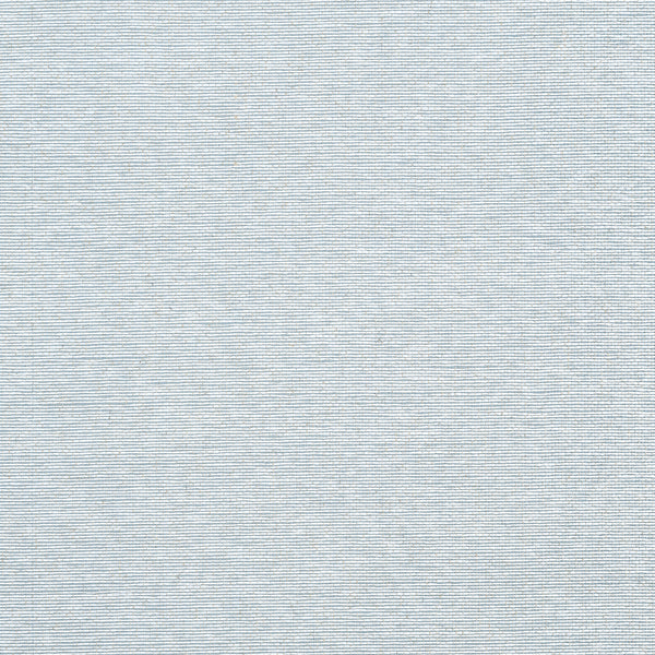 Edward's Paper Robin's Egg - Robin's Egg Wallcovering | Thibaut