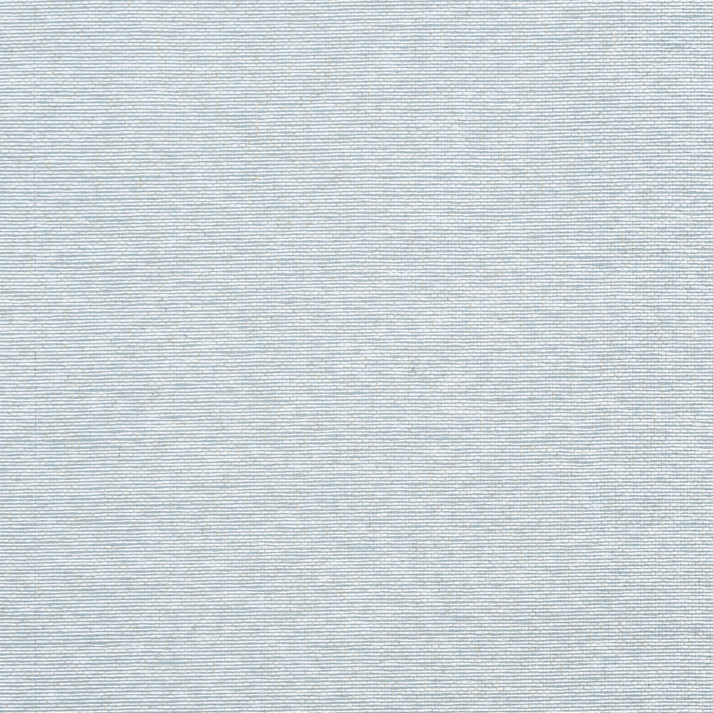 Edward's Paper Robin's Egg - Robin's Egg Wallcovering | Thibaut
