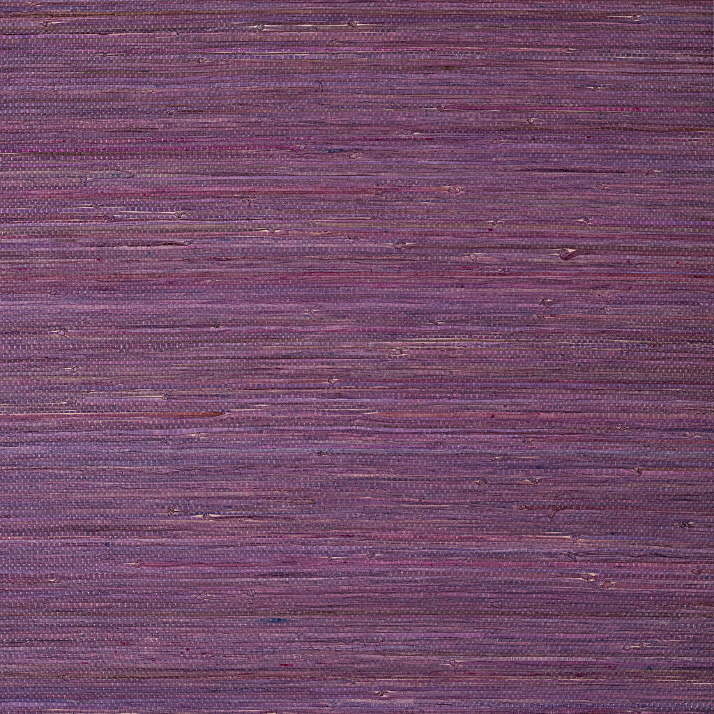 Raffia Palm, Plum