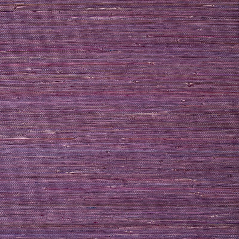 Raffia Palm, Plum