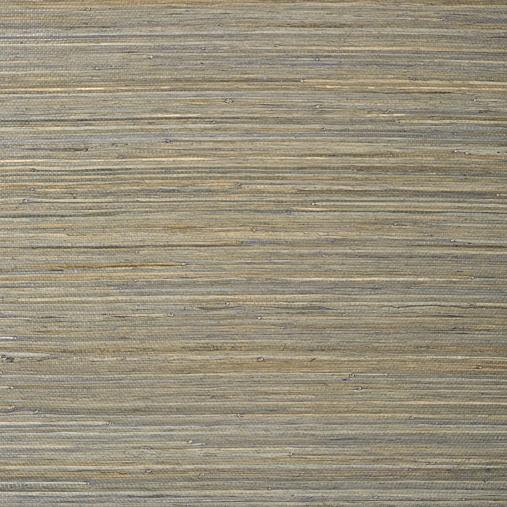 Raffia Palm, Grey