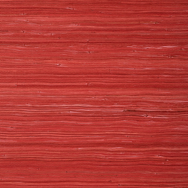 Raffia Palm, Coral Wallcoverings | Thibaut
