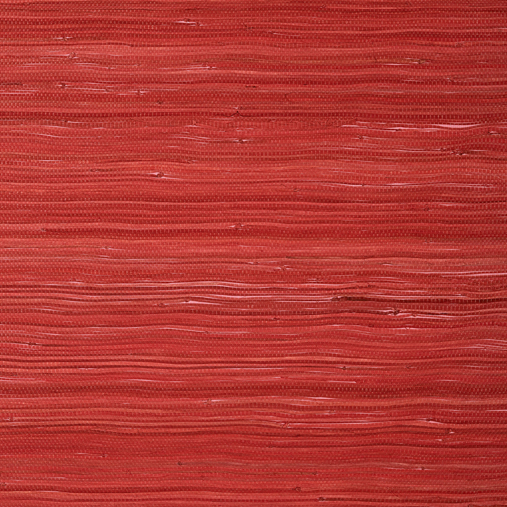 Raffia Palm, Coral