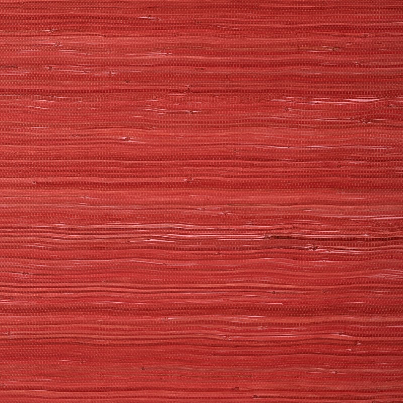 Raffia Palm, Coral