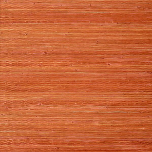 Raffia Palm, Orange Wallcoverings | Thibaut