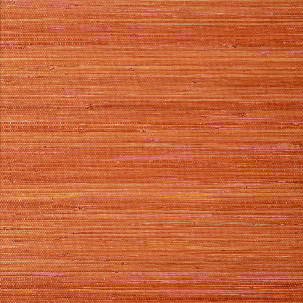 Raffia Palm, Orange
