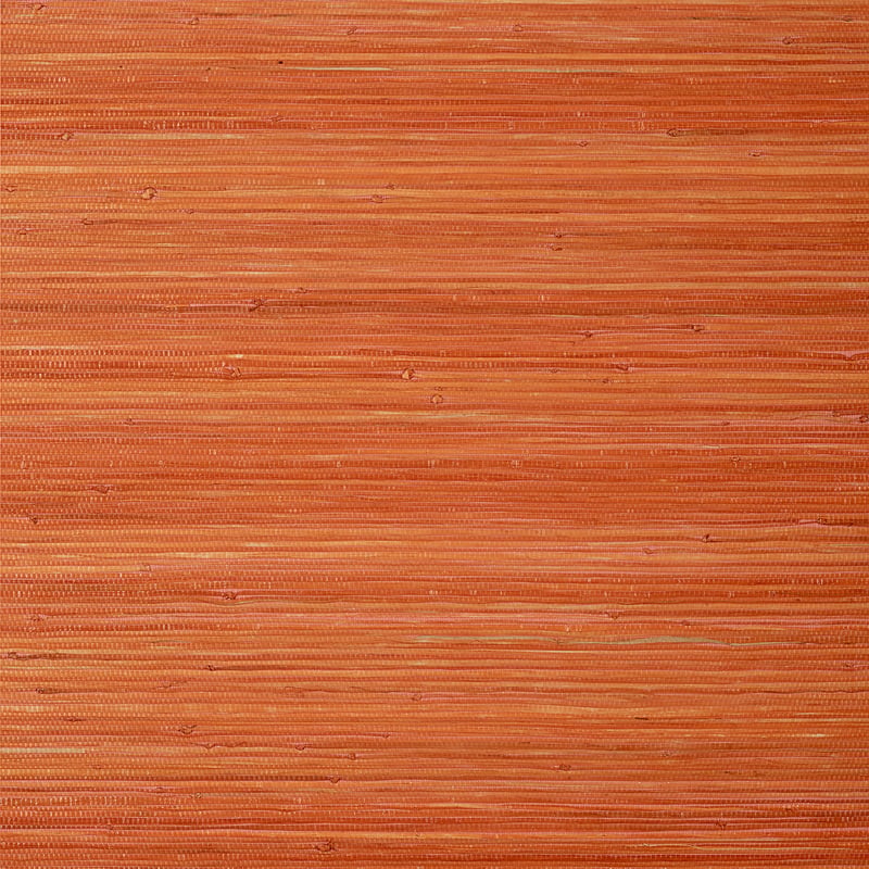 Raffia Palm, Orange