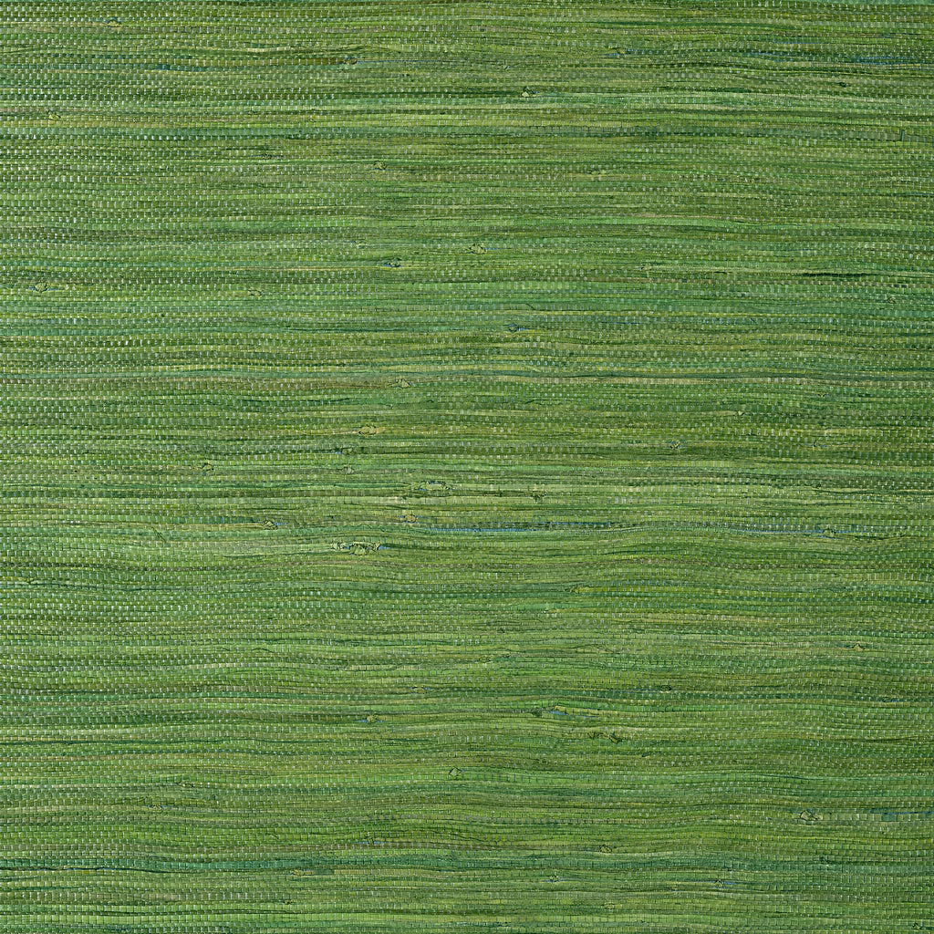 Raffia Palm, Emerald Green