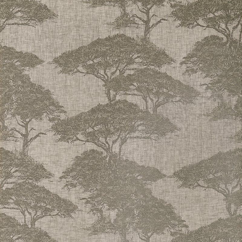 Torrey Pines, Beige and Black