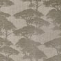 Torrey Pines, Beige and Black