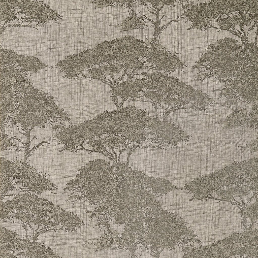 Torrey Pines, Beige and Black
