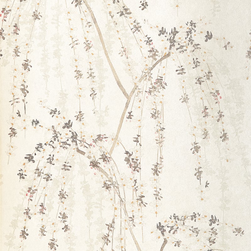 Weeping Blossom, White
