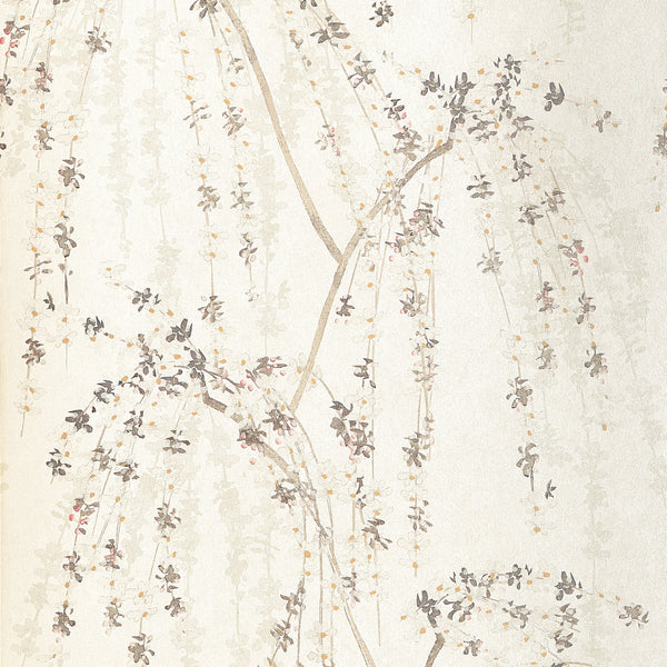 Weeping Blossom, White Wallcoverings | Thibaut
