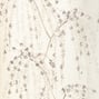 Weeping Blossom, White