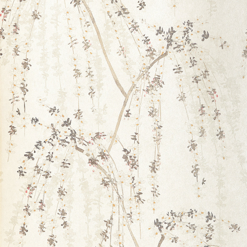 Weeping Blossom, White