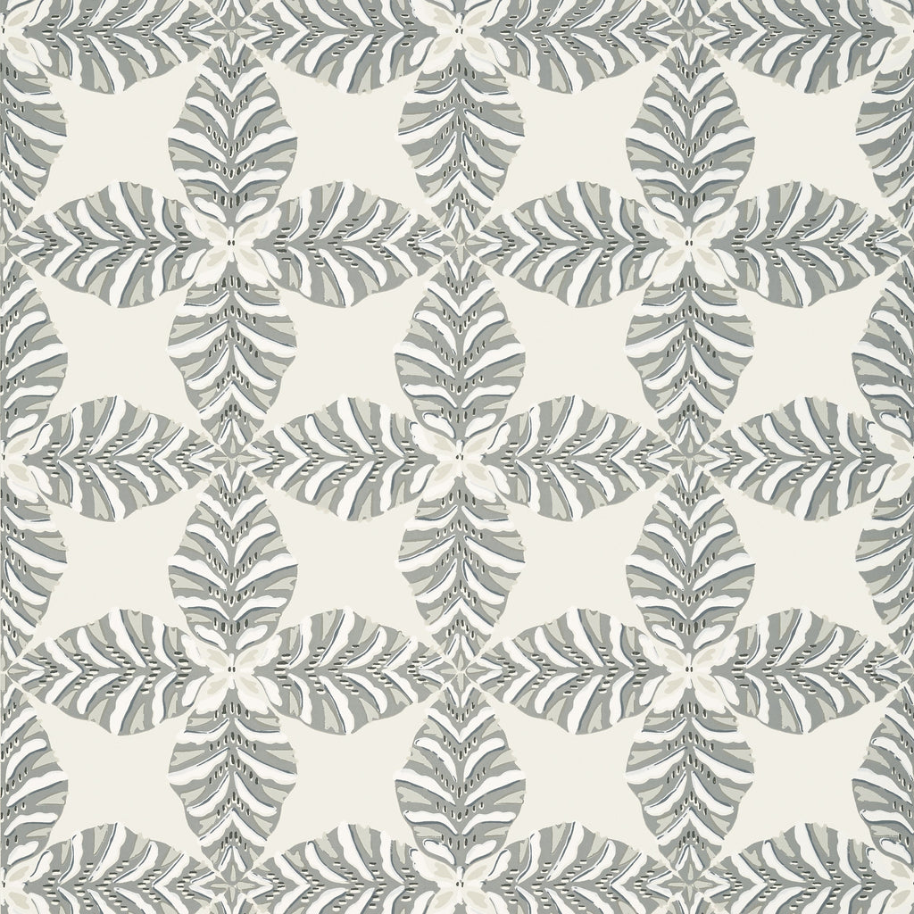 Starleaf, Grey