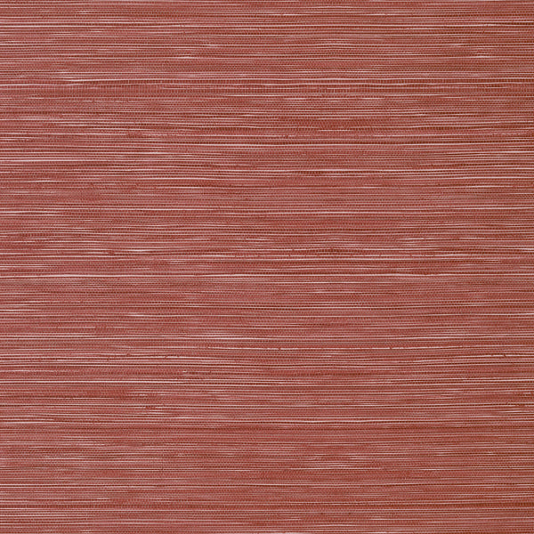 Kendari Grass, Terracotta Wallcoverings | Thibaut