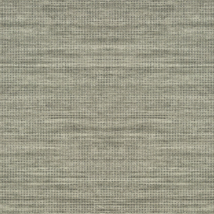 Journey, Taupe Wallcoverings | Thibaut