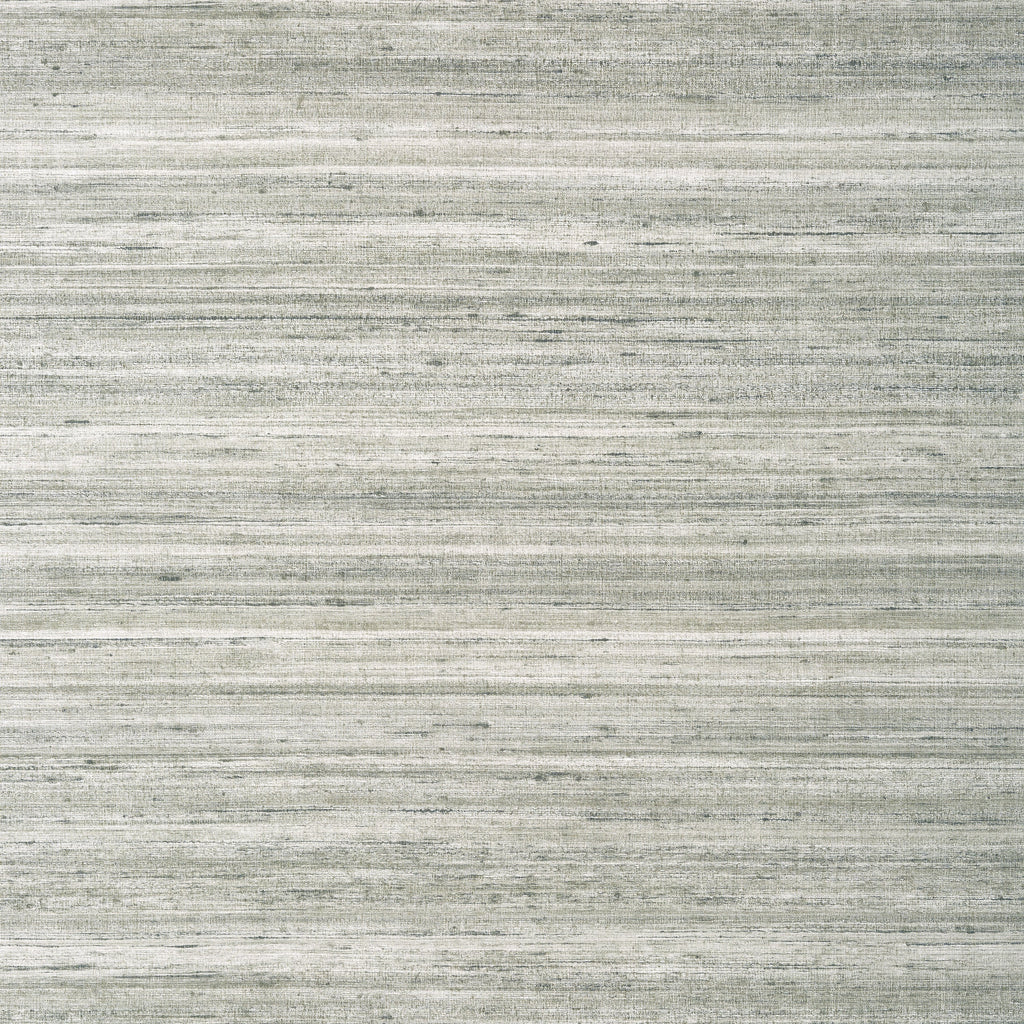 Wild Silk, Charcoal on Metallic Silver