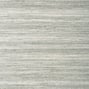 Wild Silk, Charcoal on Metallic Silver