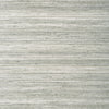 Wild Silk, Charcoal on Metallic Silver